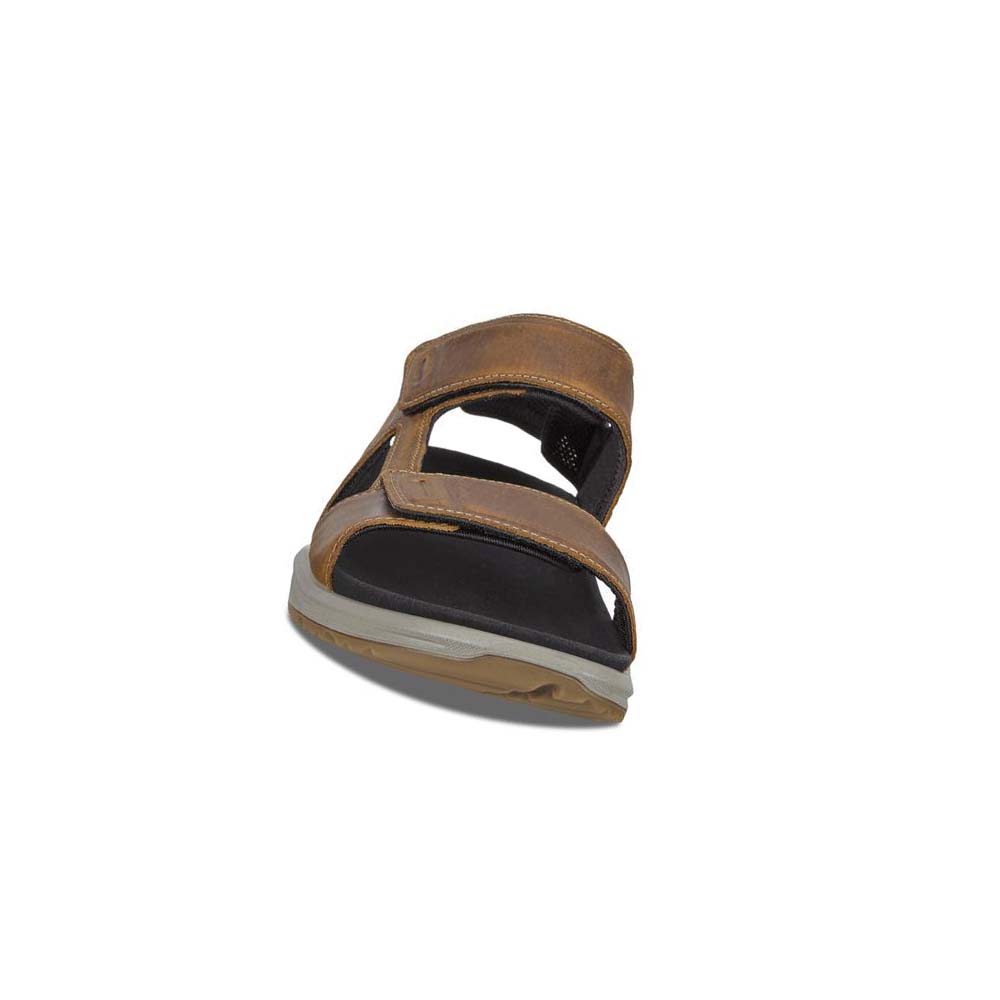 Men's Ecco X-trinsic Flat Sandals Brown | USA 592LIS